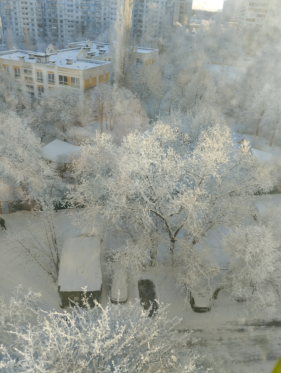 Фото автора. 31 декабря 2024г. Москва 