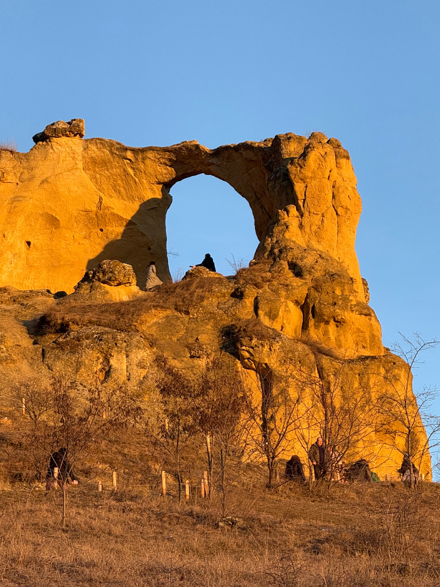 фото Сад в стиле Paradise ®