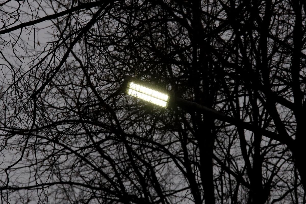 Фото: ИА "Регион 71"