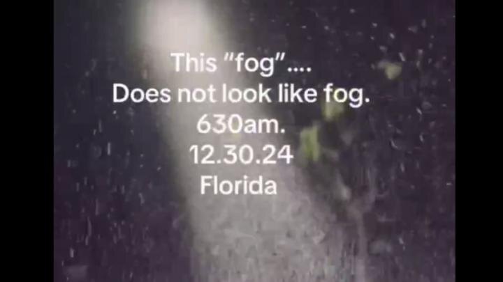 Странный липкий туман во Флориде сняли на видео. Скрин ТикТок.