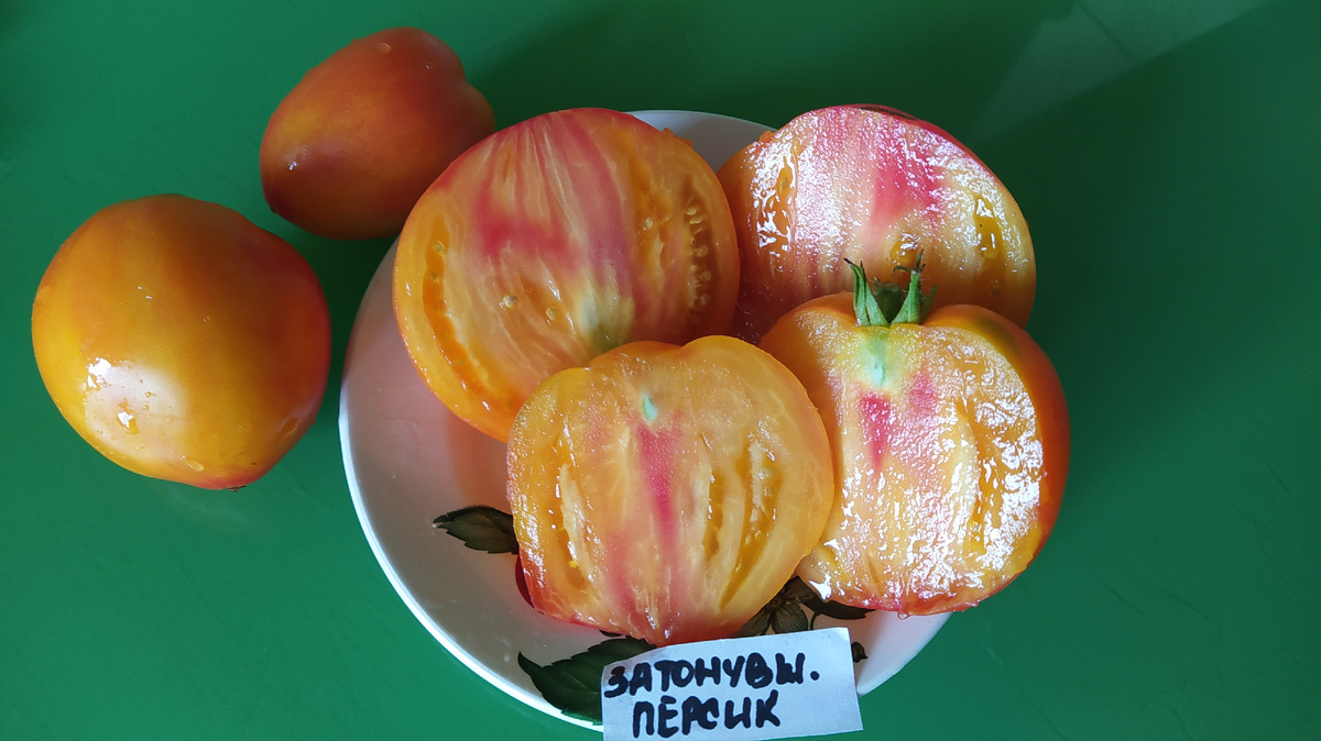 Гном Затонувший персик