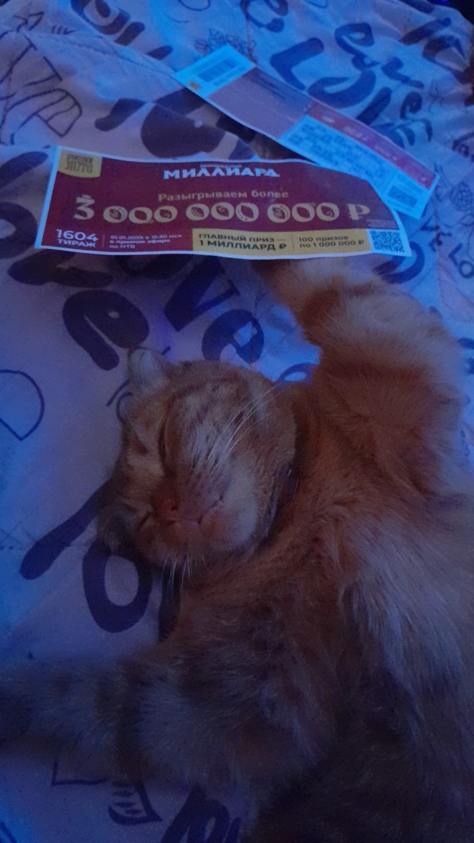 Счастья полные штаны. Меховые