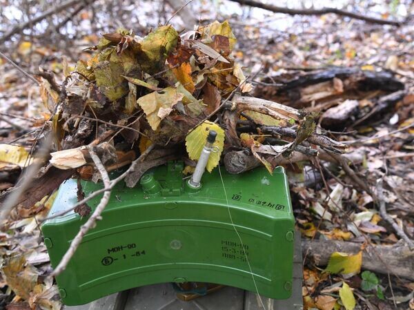    © РИА Новости Виктор Антонюк