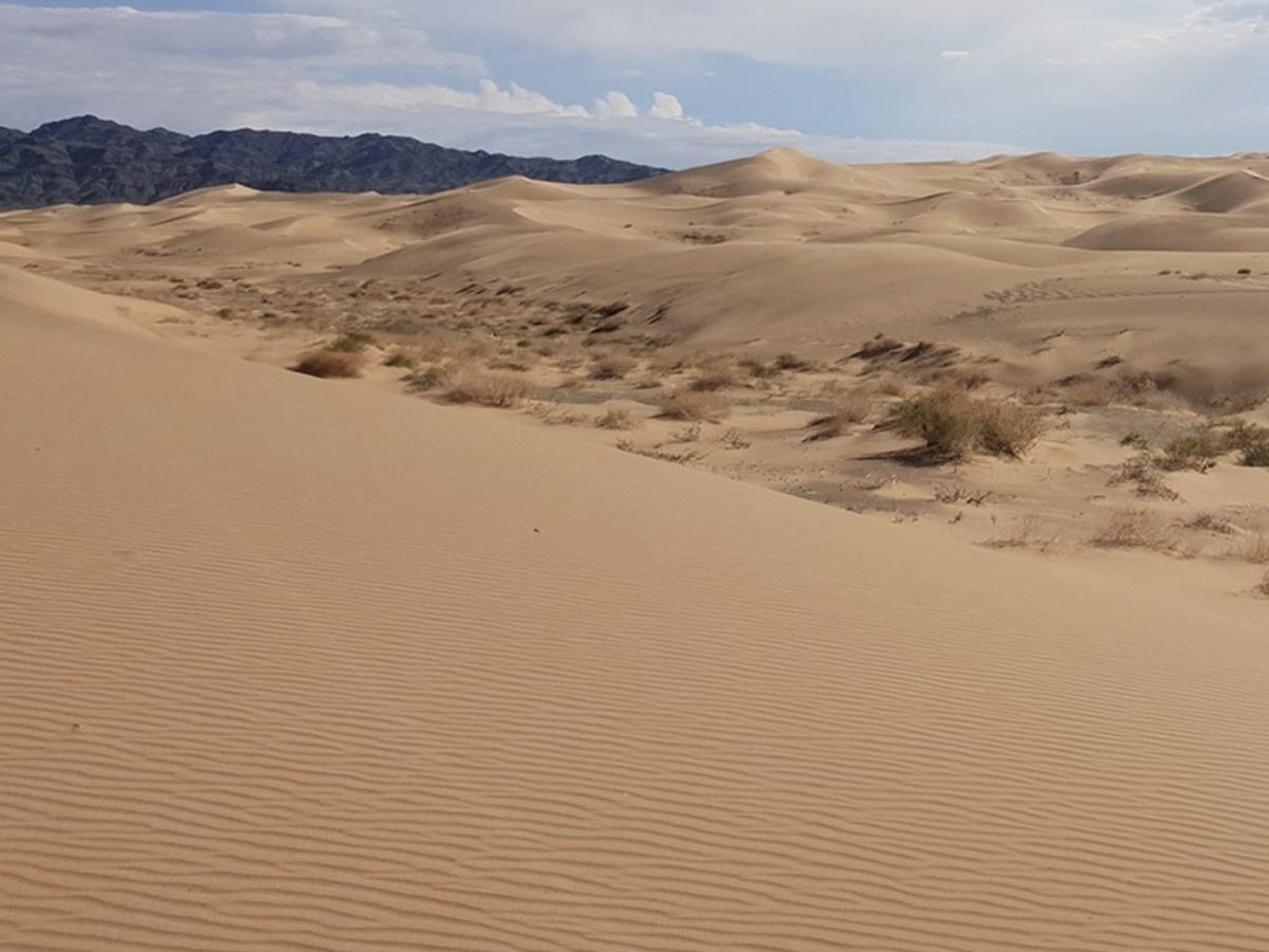    В Китае изобрели гидровольтовую ячейку для превращения тепла в электричество без солнечного света