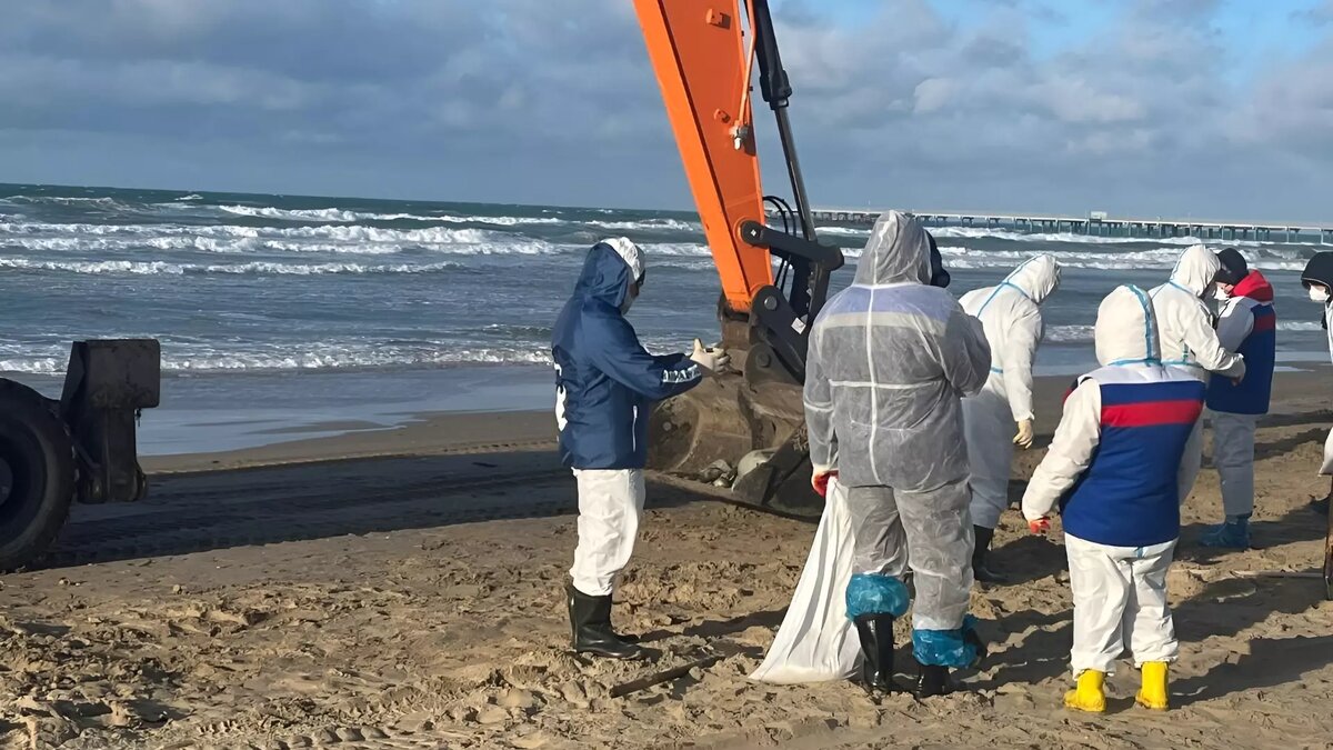     Автор: ТГ-канал Вениамина Кондратьева