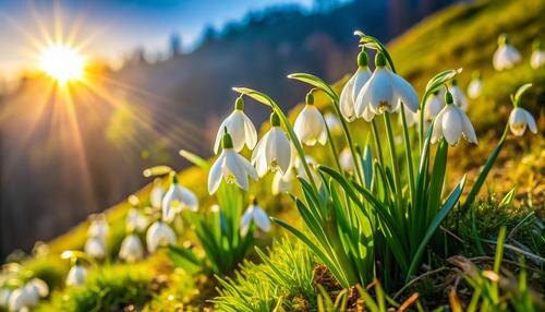    Фото: tass.ru Георгий