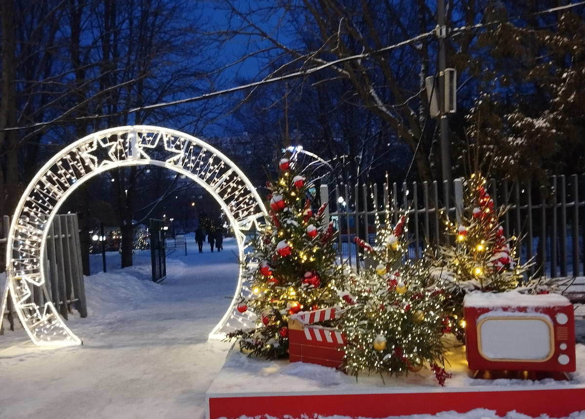 Парк Лианозово. 03.01.2025 г, пятница. ЗДЕСЬ и далее фото автора и(или) из личного архива автора, если не указано иначе.