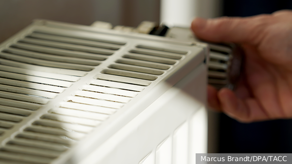     Фото: Marcus Brandt/DPA/ТАСС   
 Текст: Ольга Иванова