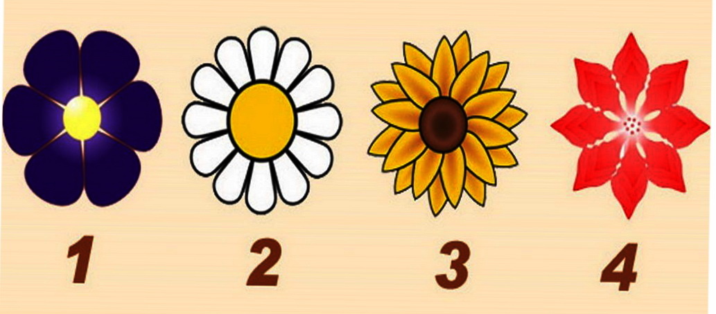 Выберите цветок и откройте для себя послание