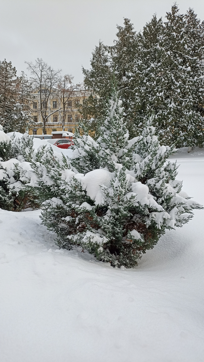 За зелёными насаждениями на Советской площади виднеется здание на Революционном проспекте (бывшей Бронницкой дороге).