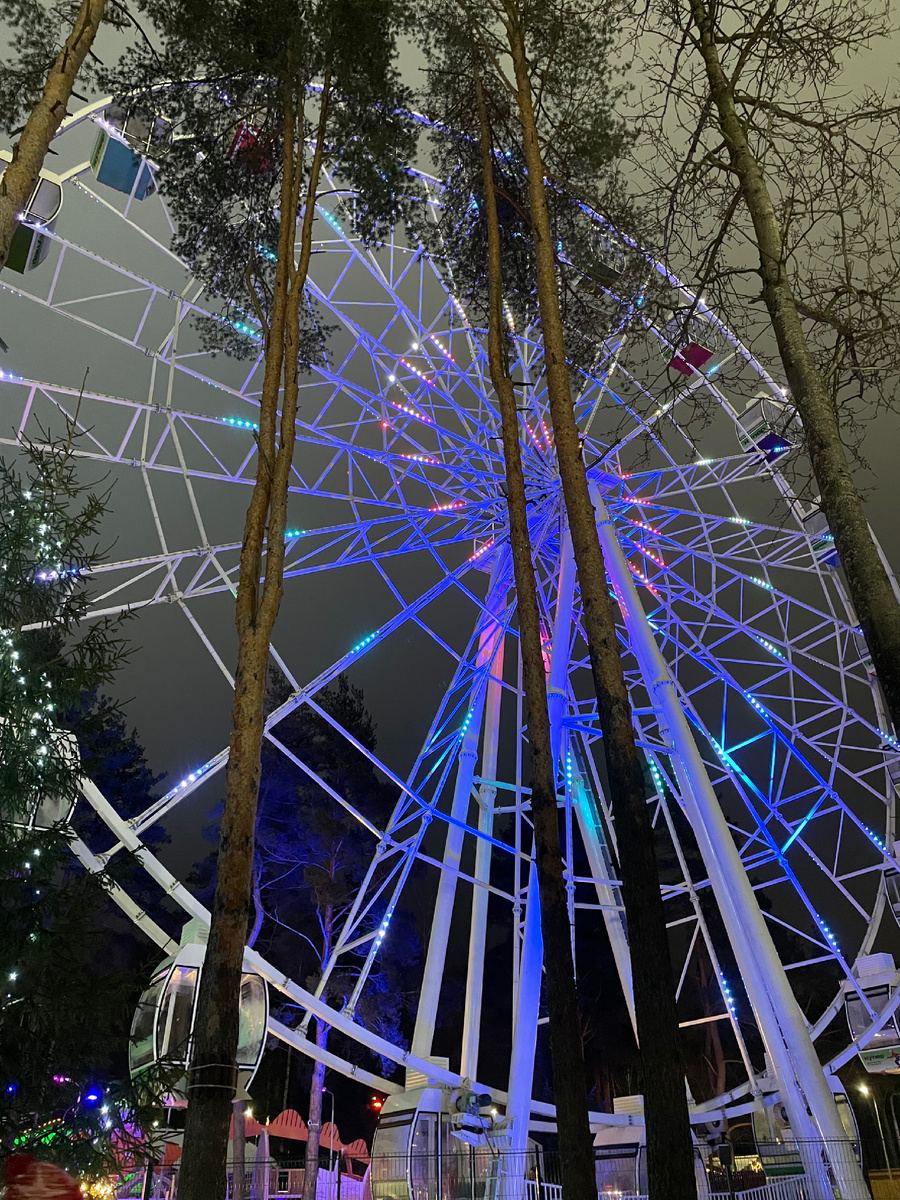 Колесо обозрения или «Волшебное колесо»