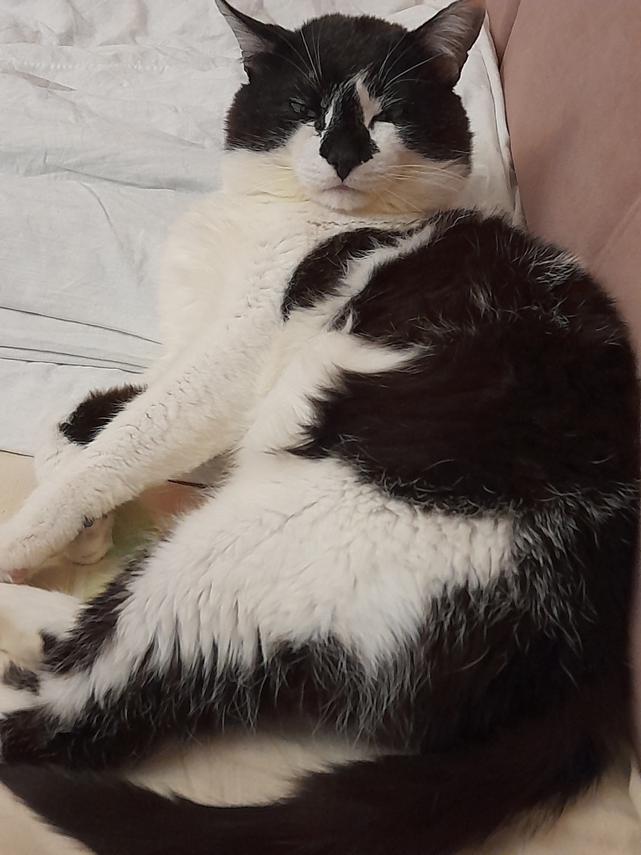 Фото автора.  Взгляд с претензией