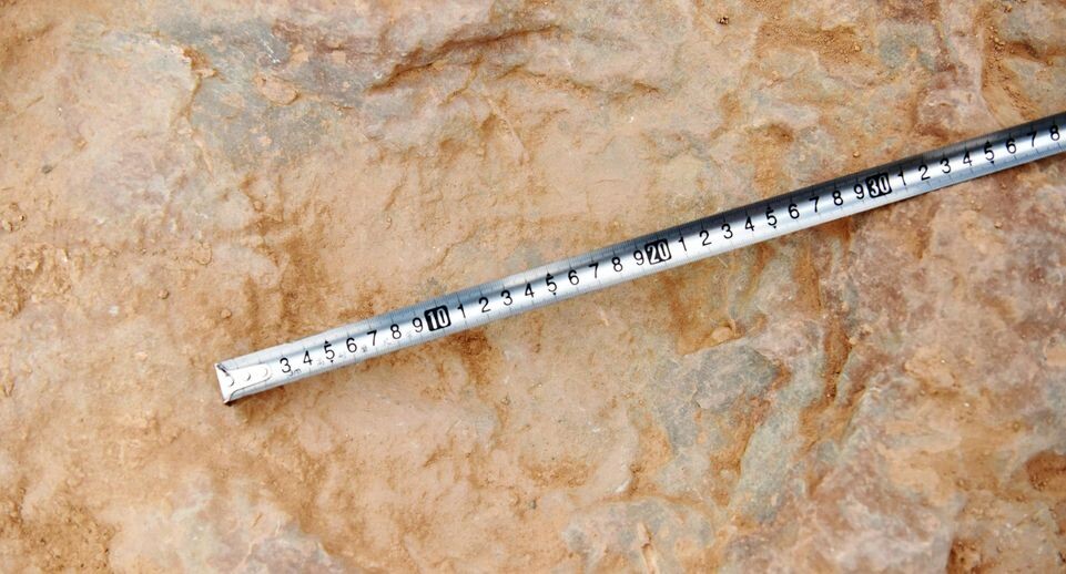    Cfoto / Global Look Press