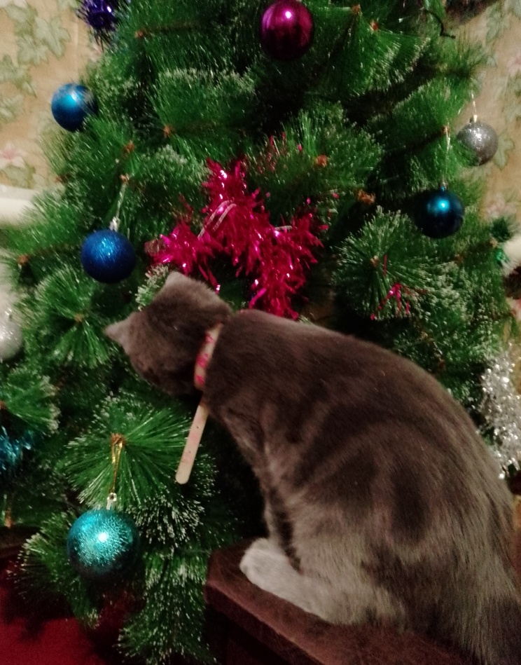 Из архива. Шанечка еще совсем маленькая)