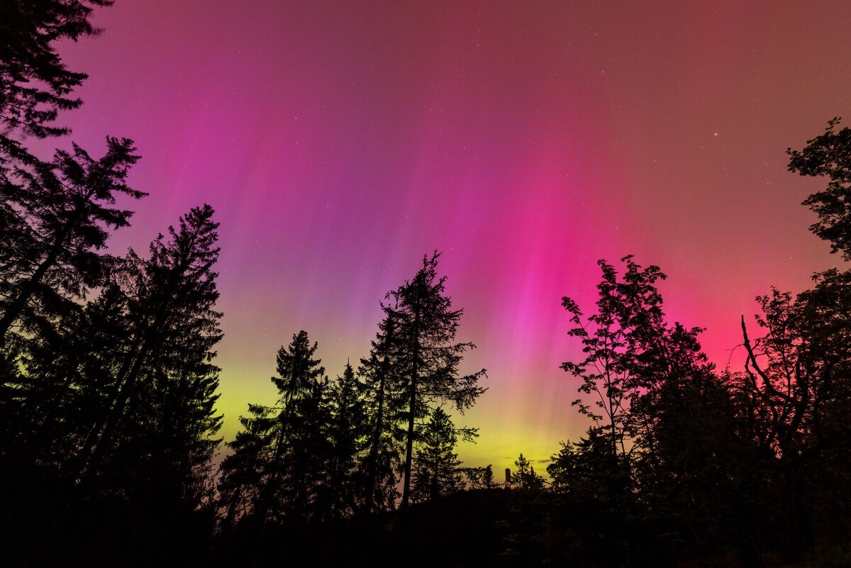     / Источник: © IMAGO/Jan Eifert/Global Look Press