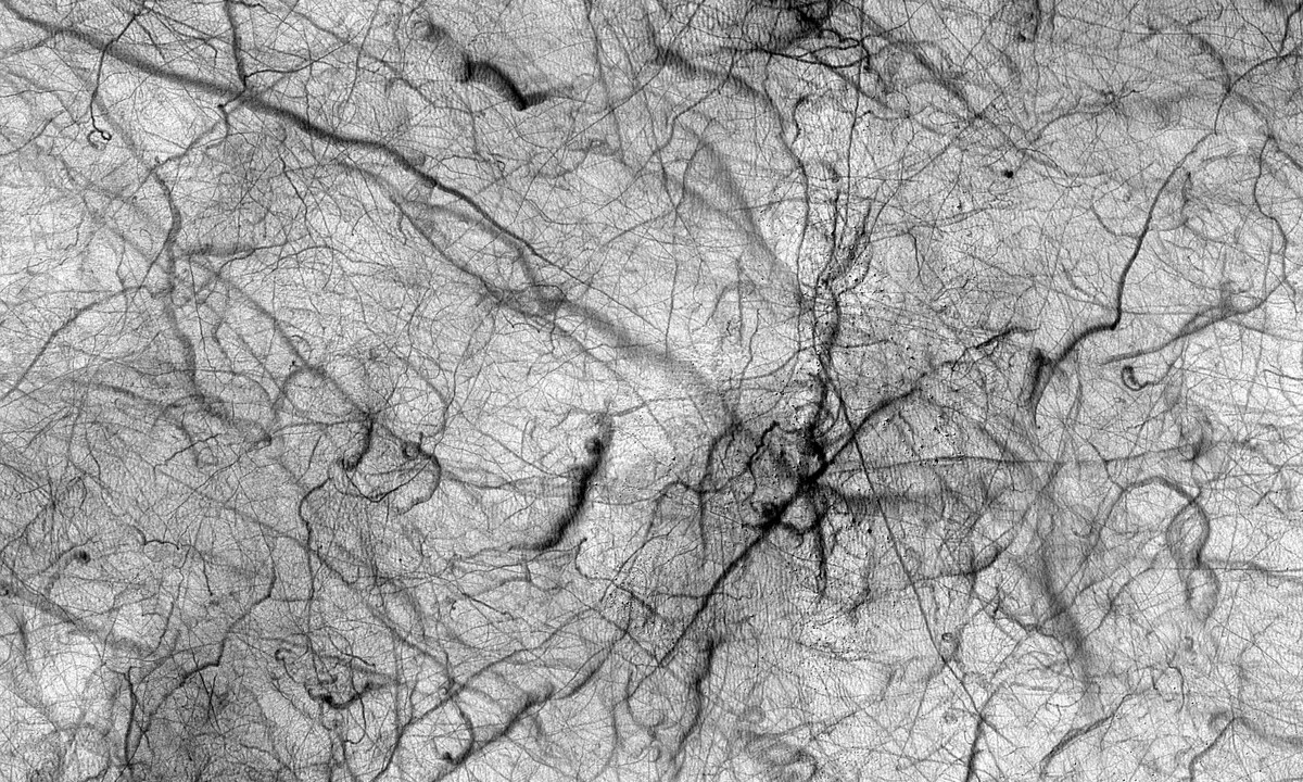 Пылевые смерчи на Марсе.    
 Источник: NASA/JPL-Caltech/University of Arizona  📷
