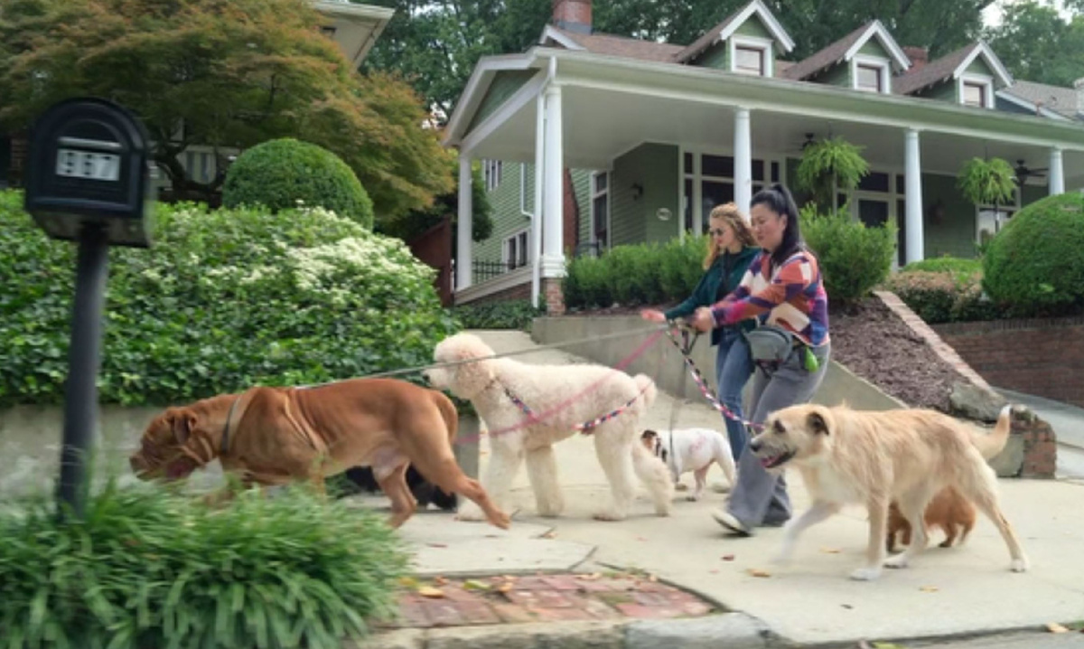 Салли олицетворяет часть личности, ответственную за трансформацию Криса / мой скрин