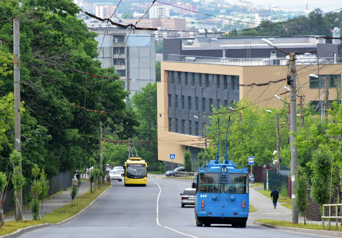 Владивостокский троллейбус. Источник: https://transphoto.org/photo/16/33/31/1633312.jpg