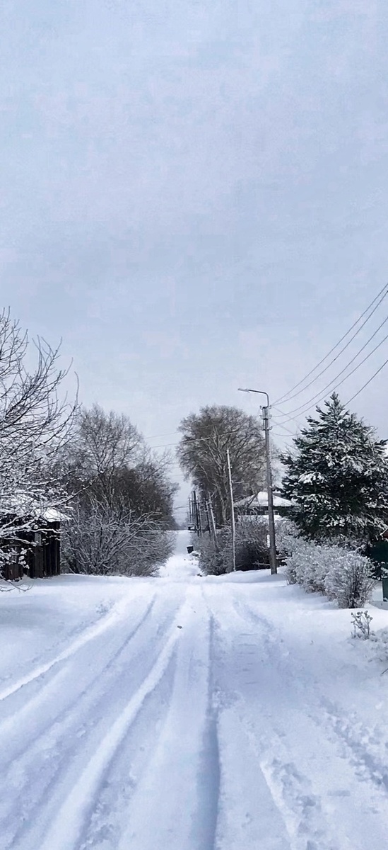 Белое покрывало января.