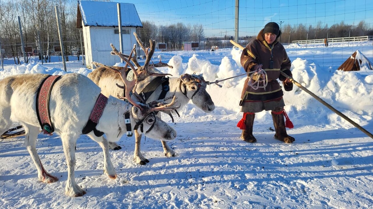 Катание на оленях стоит 1500 за 10 минут