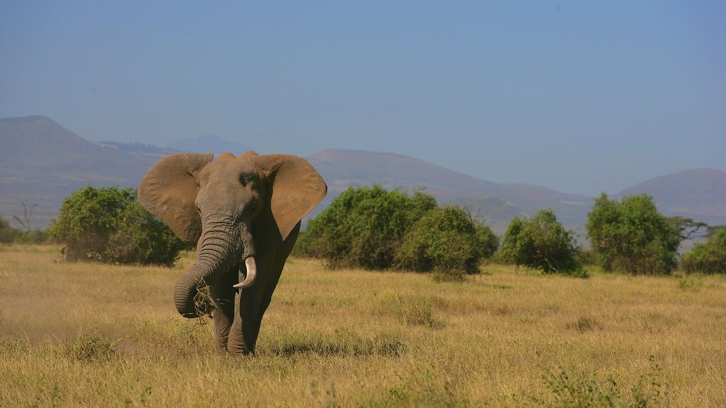   Nikolay Ivaschenko/Russian Look/Globallookpress