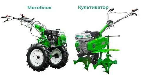 фото источник интернет