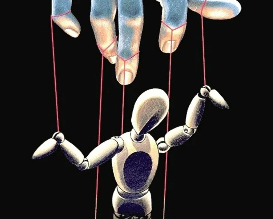 Фото взято из открытого источника