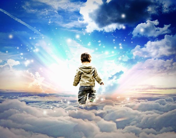 яндекс картинки