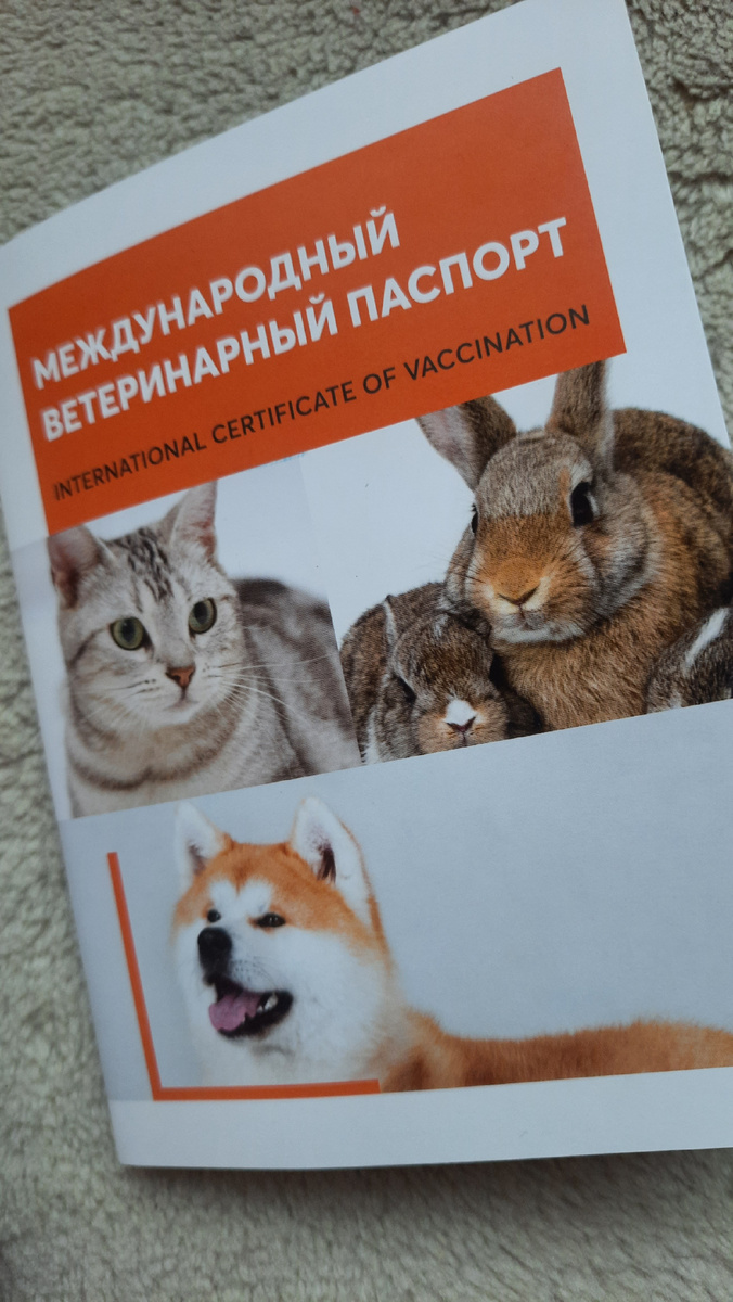 Асин паспорт