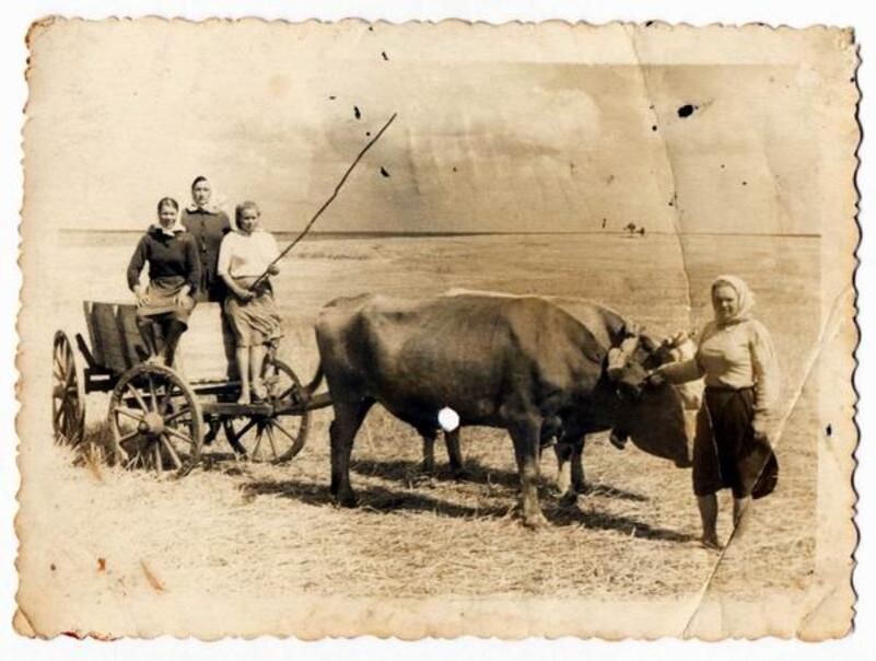 Неизвестный автор 1950-е. Калининградская область. https://russiainphoto.ru/