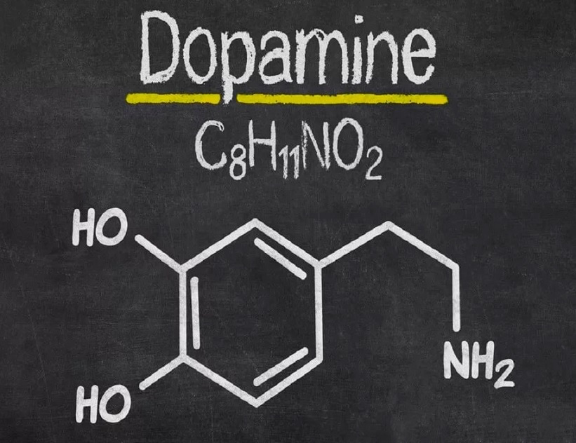 Дофамин-это нейромедиатор , который отвечает за чувство удовлетворения и мотивации. 
