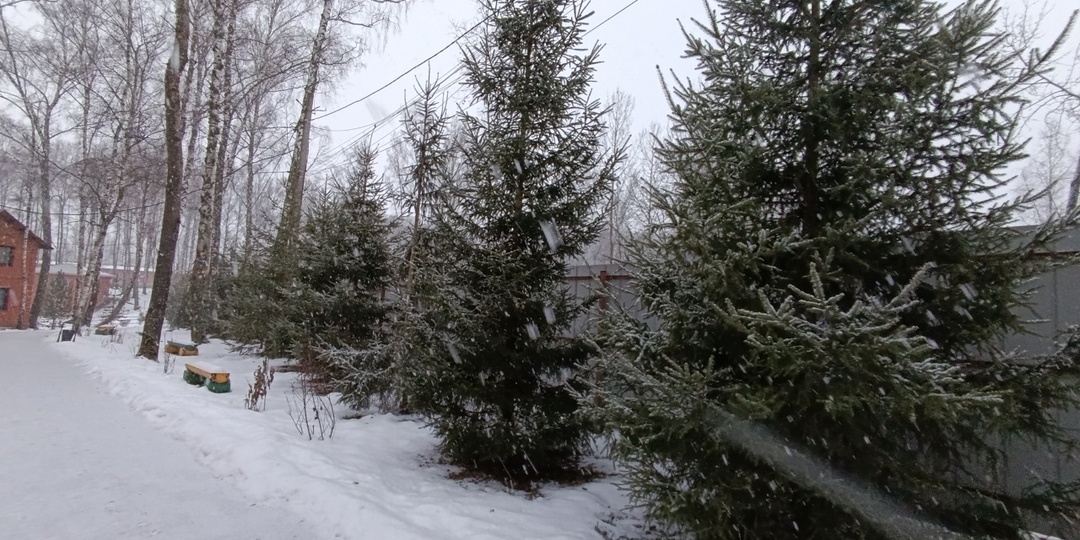 Как встретили Новый год на Подмосковной базе отдыха