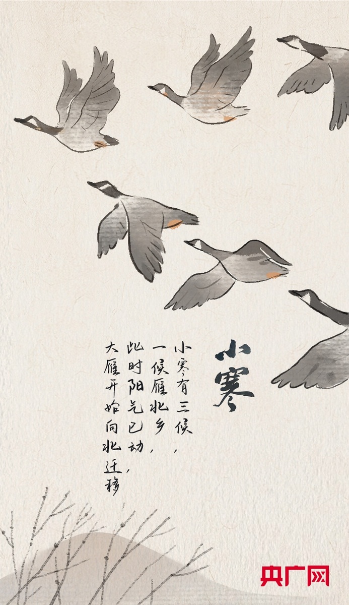 В древнем Китае сезон Сяо Хань делили на три периода. Первый — когда дикие гуси возвращаются на север. Источник изображения: baidu.com