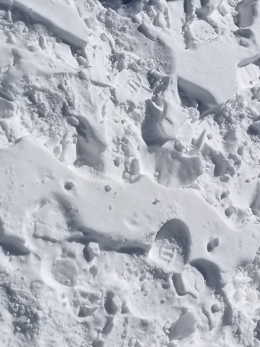 Снег, который искали