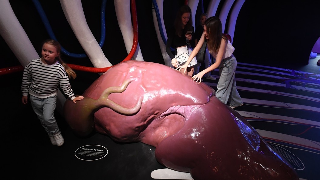    Komsomolskaya Pravda/Global Look Press