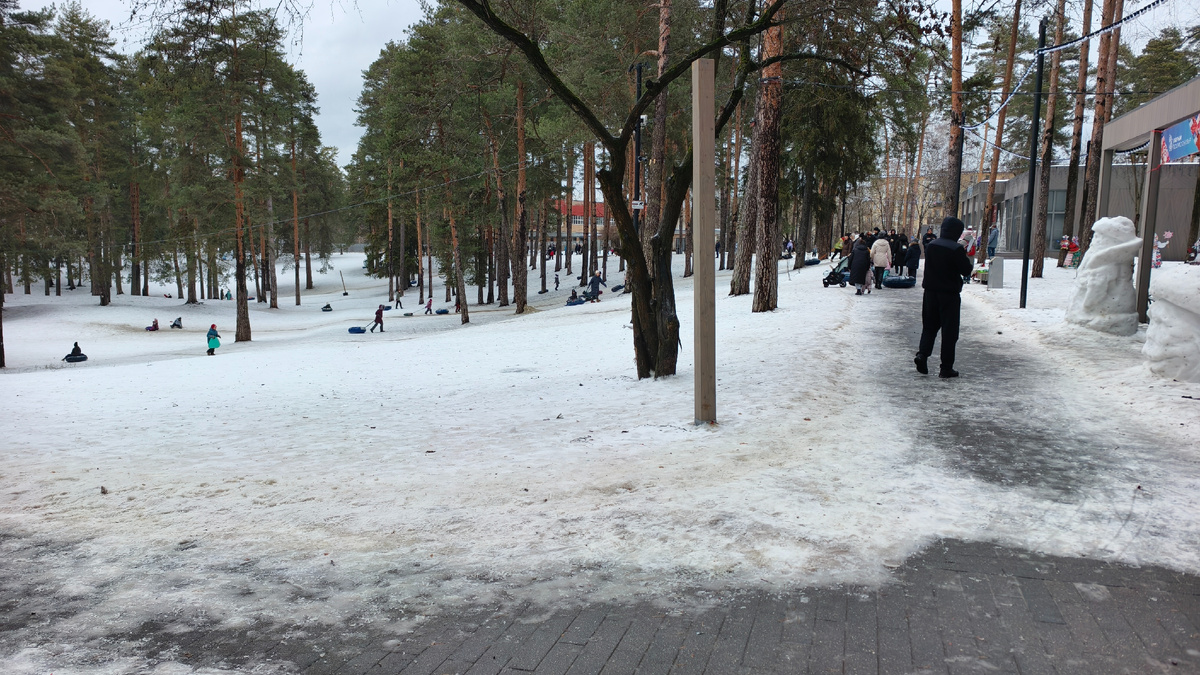 Фото из нашего городского парка.