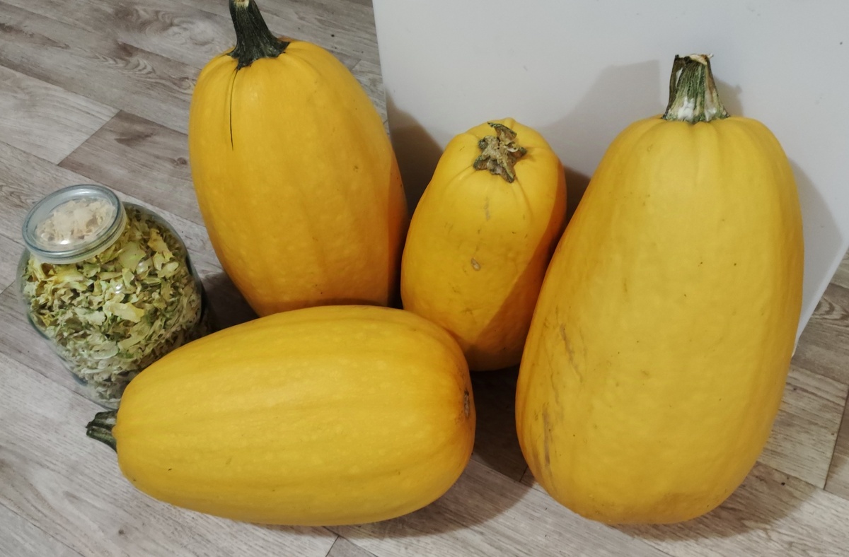 Остаток тыквачков 