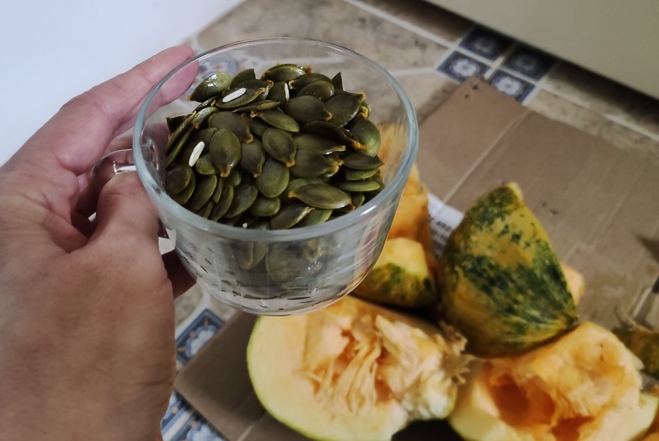  Семечки из тыквы-голосемянки