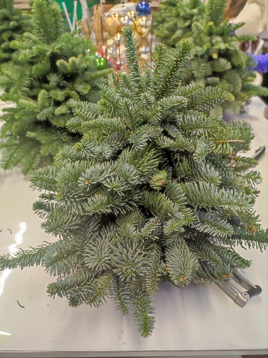 Фото автора. 70 % готовности