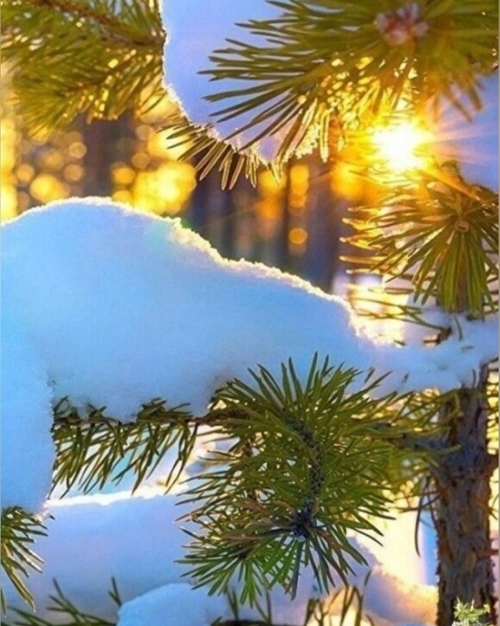 Фото из интернета 