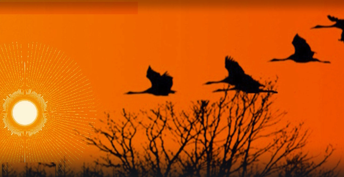 Четыре основы счастья