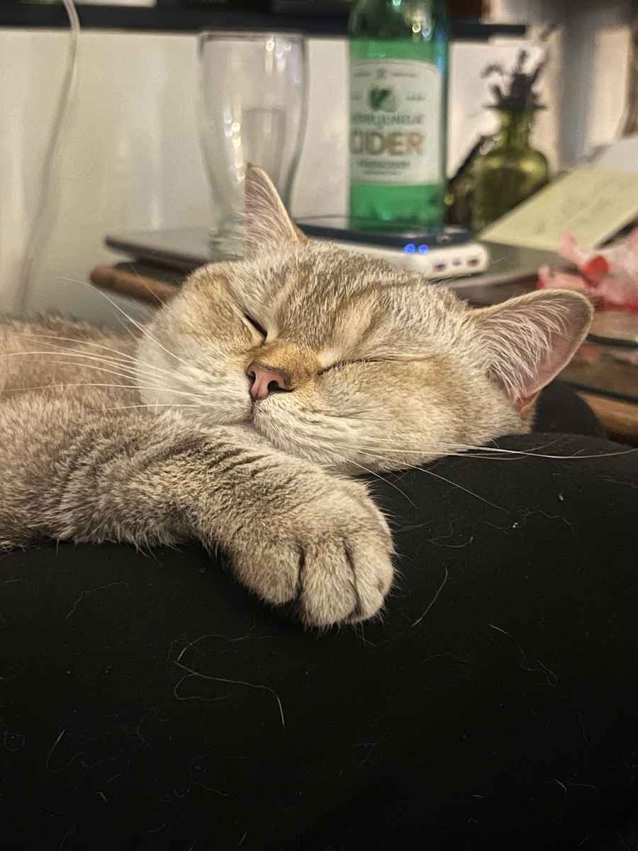 Кошка - приправа 