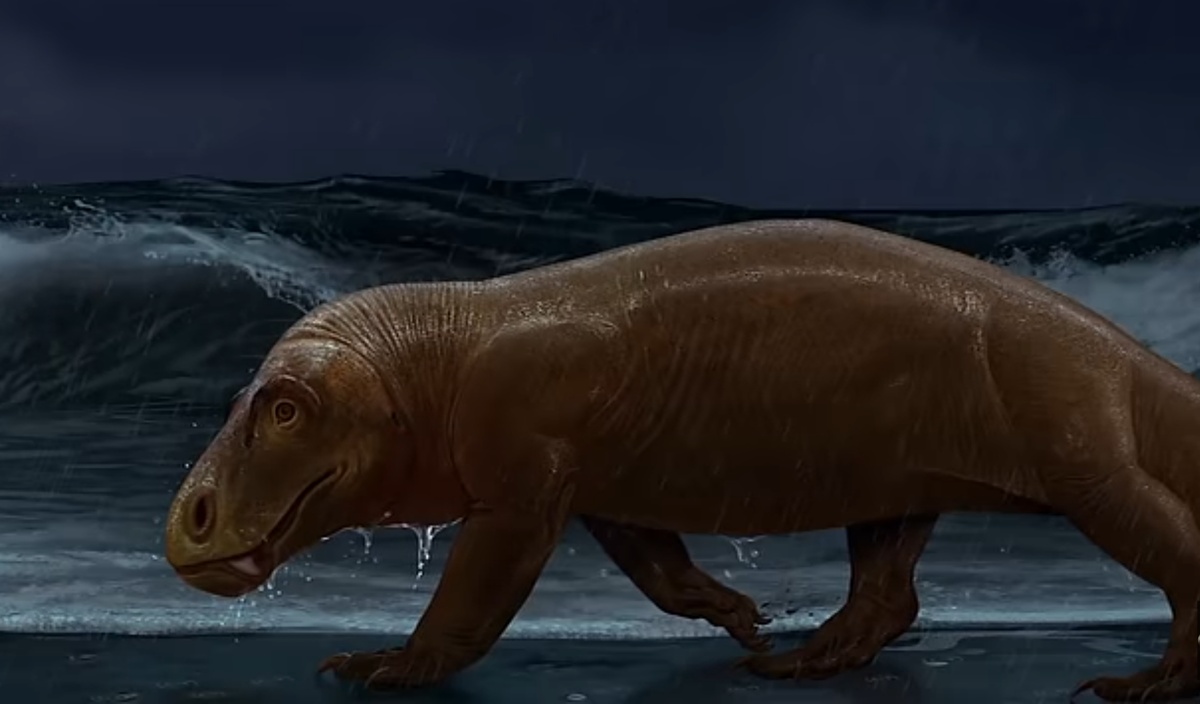 Грустный антеозаврин идёт по берегу моря.