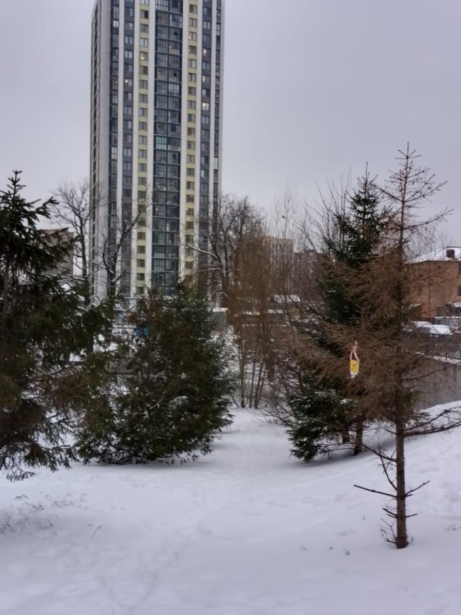 Из личного архива