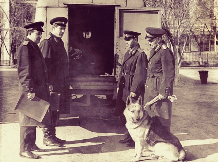 Фото из открытых источников