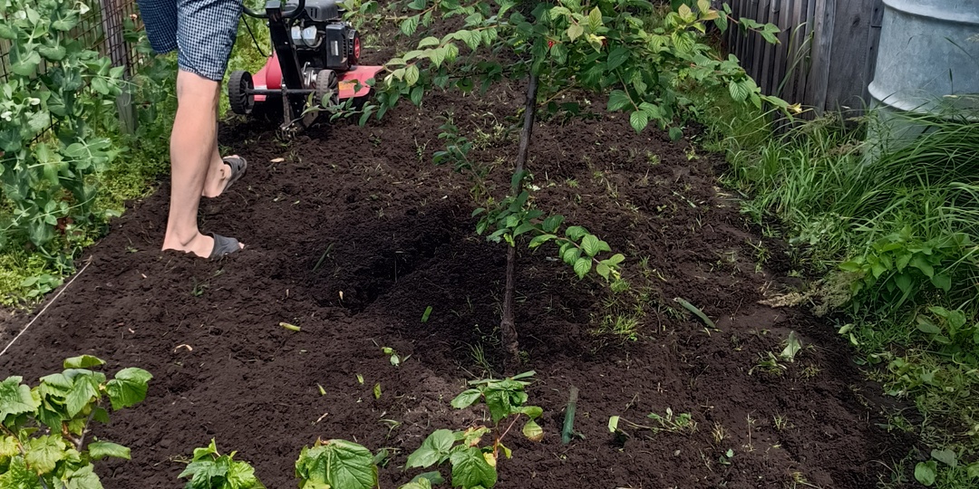 Сорнякам НЕТ⛔: освоение неприглядных закоулков сада в этом сезоне.