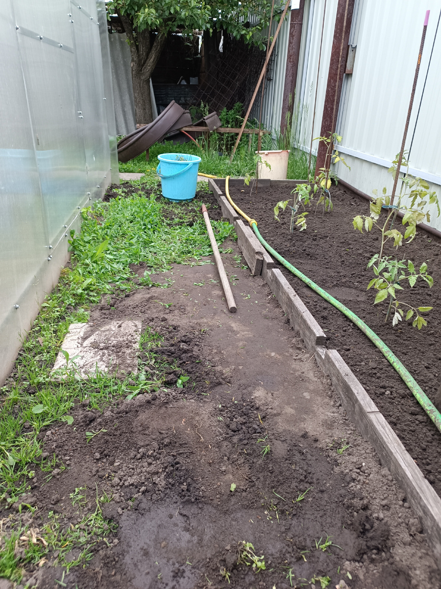 В процессе …