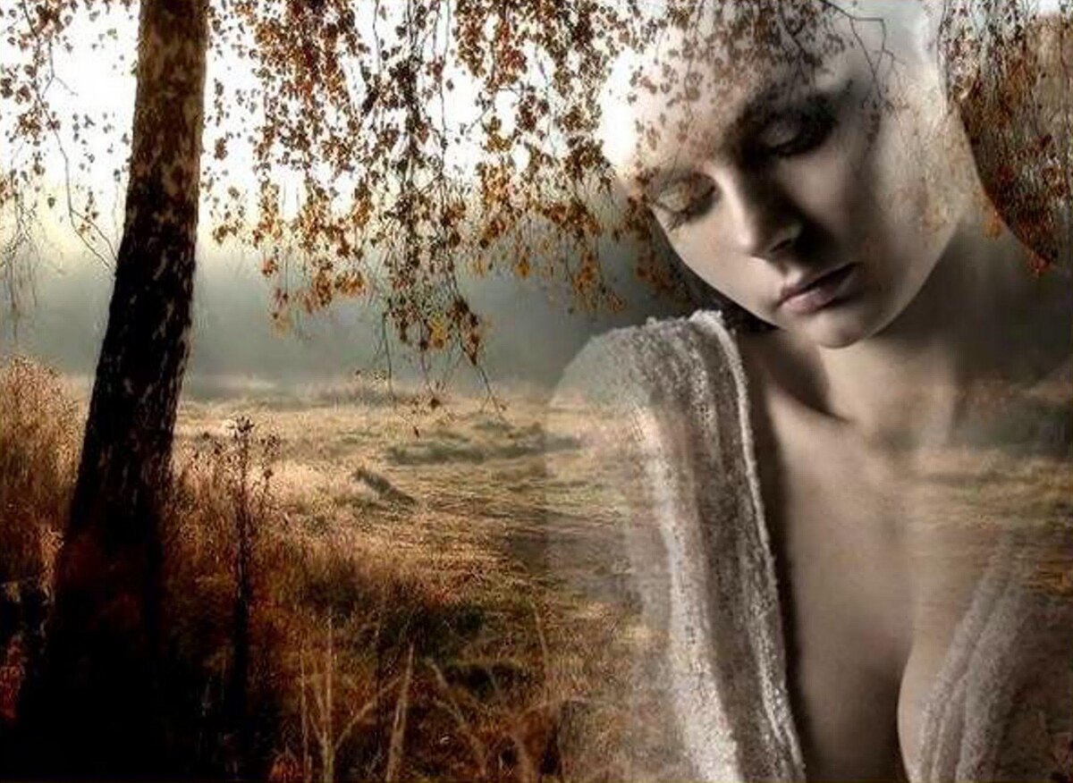 Фото из открытого источника Яндекс 