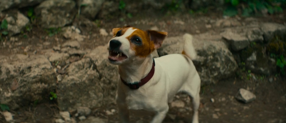 Тотошка или Тотоний