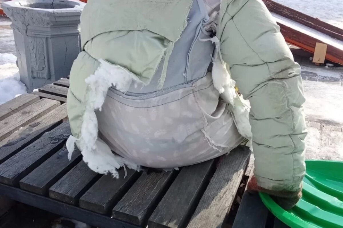    Соцсети: ребёнок налетел на штырь, скатившись с горки в Хабаровском крае